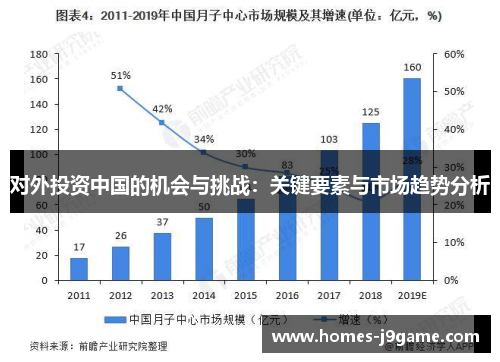 对外投资中国的机会与挑战：关键要素与市场趋势分析