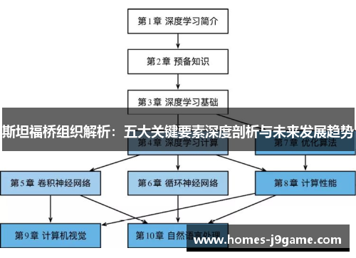 斯坦福桥组织解析：五大关键要素深度剖析与未来发展趋势