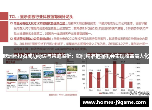 欧洲杯投资成功秘诀与策略解析：如何精准把握机会实现收益最大化